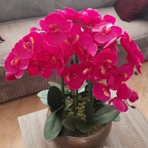 Real Touch Orchid  . 1PC /branch